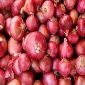 red onion