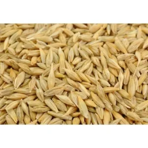 barley