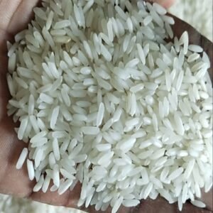 ir64 rice