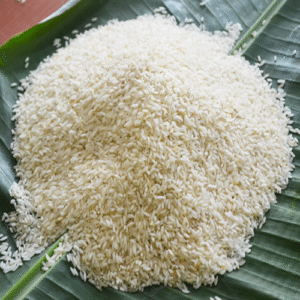 kolam rice
